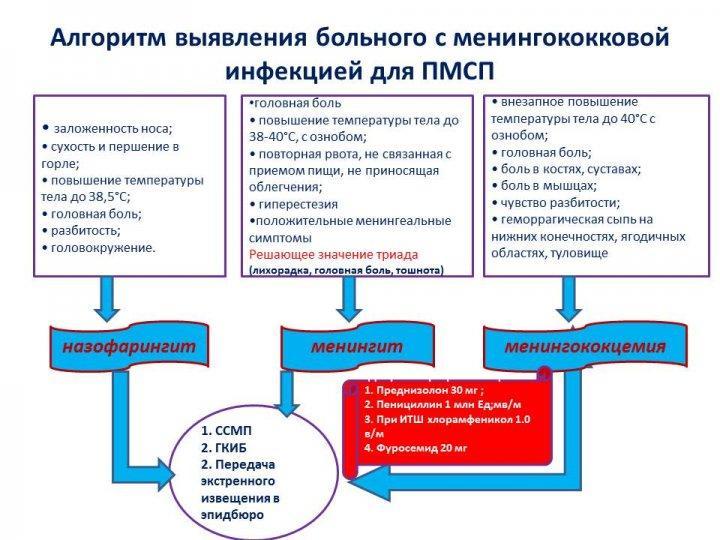 Алгоритм диагностических и тактических мероприятий  при подозрении на менингококковую инфекцию