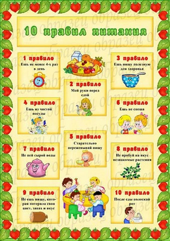 10 правил питание